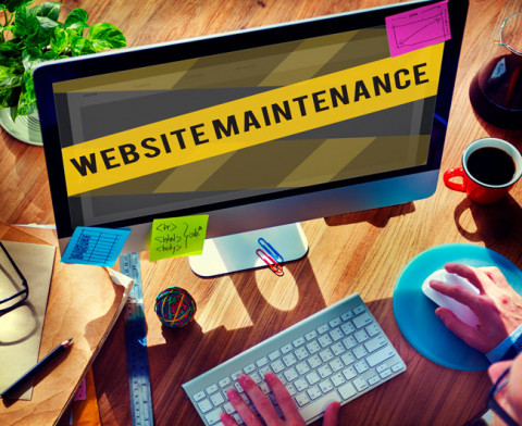 Print and Website Designer -  Website Maintenance Importance